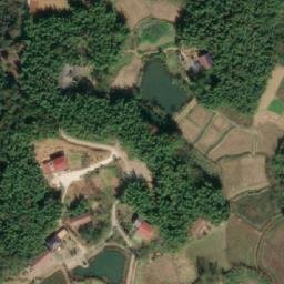余家桥乡卫星地图