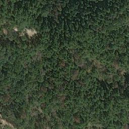 白云山林场卫星地图