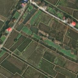 中鱼口乡卫星地图