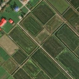 青树嘴镇卫星地图