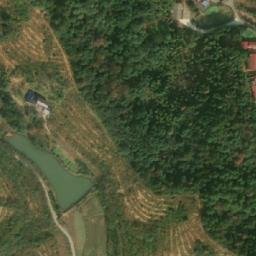 煤炭坝镇卫星地图