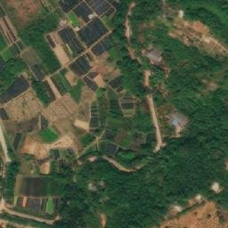 柏加镇卫星地图