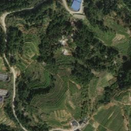 七步镇卫星地图