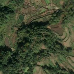 杨柳塘镇卫星地图