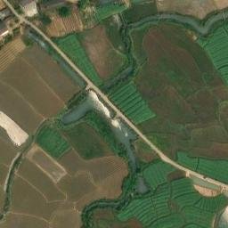 衡南县原种场卫星地图