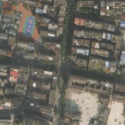 蓼江镇卫星地图