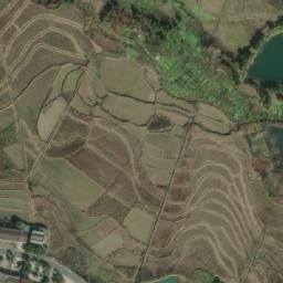 白露塘镇卫星地图
