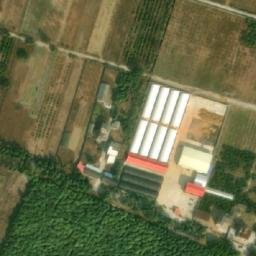道县大坪铺农场卫星地图