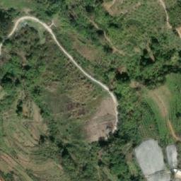 玳瑁山茶场卫星地图
