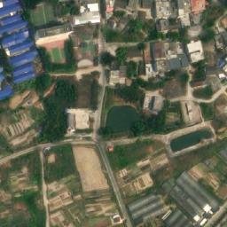 国营广坝农场卫星地图