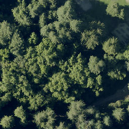Volleyball Court — aerial view
