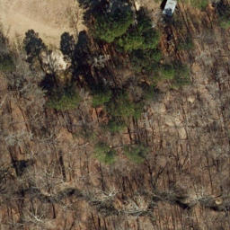 Volleyball Court, Raleigh, NC — aerial view