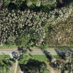 Optimum Beach — aerial view