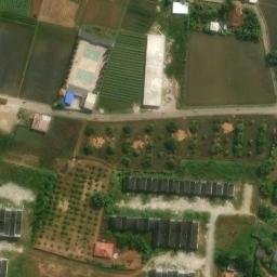 YUNIS SPORTS — aerial view