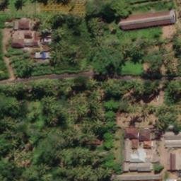 Lapangan voli vorziwa — aerial view