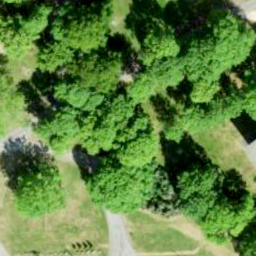 Grass Volleyball Court — aerial view