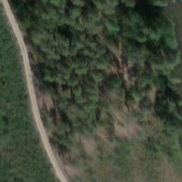 Volleyball Court — aerial view