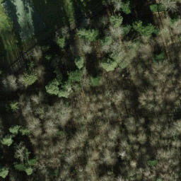 Sand Volleyball Court — aerial view