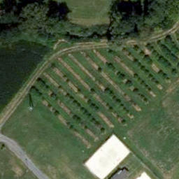 Sand Volleyball Court — aerial view