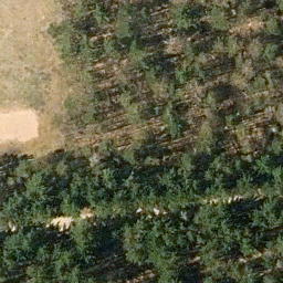 Town of Forestport Beach Volleyball Court #3 — aerial view