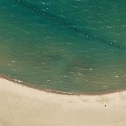 Lincoln Park Beach Volleyball Court #66 — aerial view