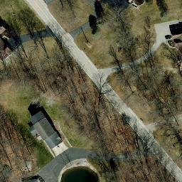 Dragonfly Athletics — aerial view