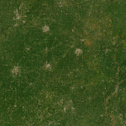 100-118 W Howard St, Pontiac, IL map(satellite map)