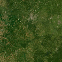 1342-1584 North Beaver Lake Road Jasper Satellite Map