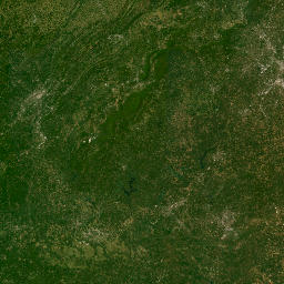 Unnamed Road Cusseta GA 31805 America Satellite Map