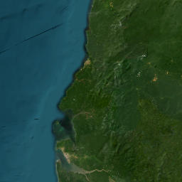 Negara afrika di teluk guinea