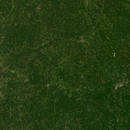 Mississippi map(satellite map)