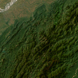 Nagaland map(satellite map)