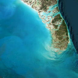 South Andros map(satellite map)