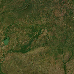 Guárico map(satellite map)