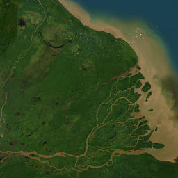 Delta Amacuro map(satellite map)