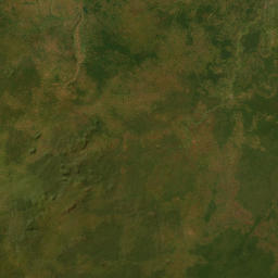 Logone Oriental map(satellite map)