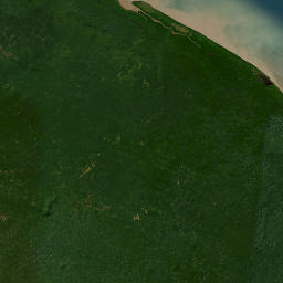 Barima-Waini map(satellite map)