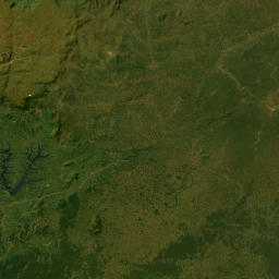 Cameroon High Resolution Satellite Map