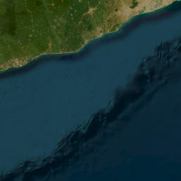 Central map(satellite map)