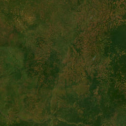 Basse-Kotto Prefecture map(satellite map)