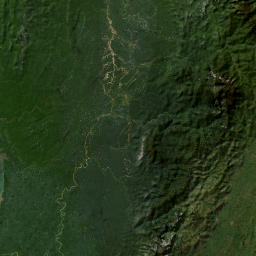 Risaralda map(satellite map)