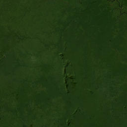 Guainía map(satellite map)