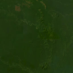 Vaupés map(satellite map)