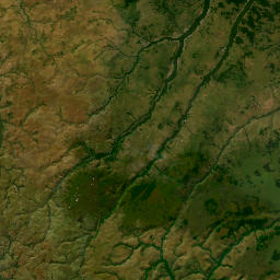 Plateaux Department map(satellite map)