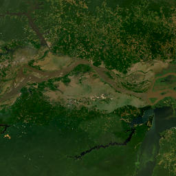 Pará map(satellite map)