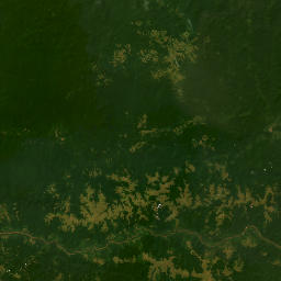 Democratic Republic of the Congo High Resolution Satellite Map