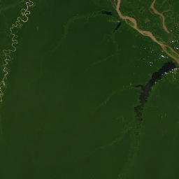 Amazonas map(satellite map)