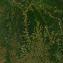 Kasaï map(satellite map)