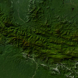 Papua map(satellite map)