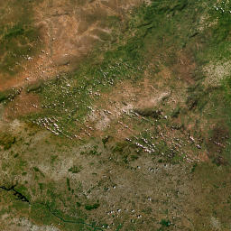 Alagoas map(satellite map)